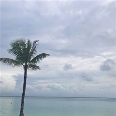 攻城夺将手游变态版下载