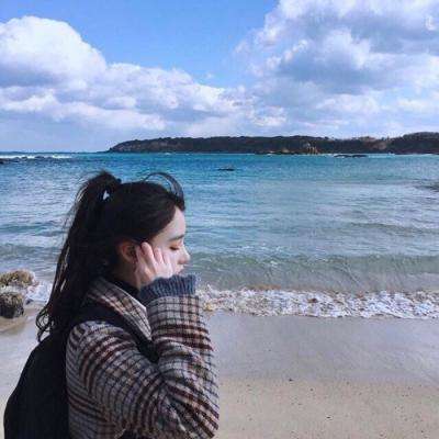 大航海时代7破解版下载